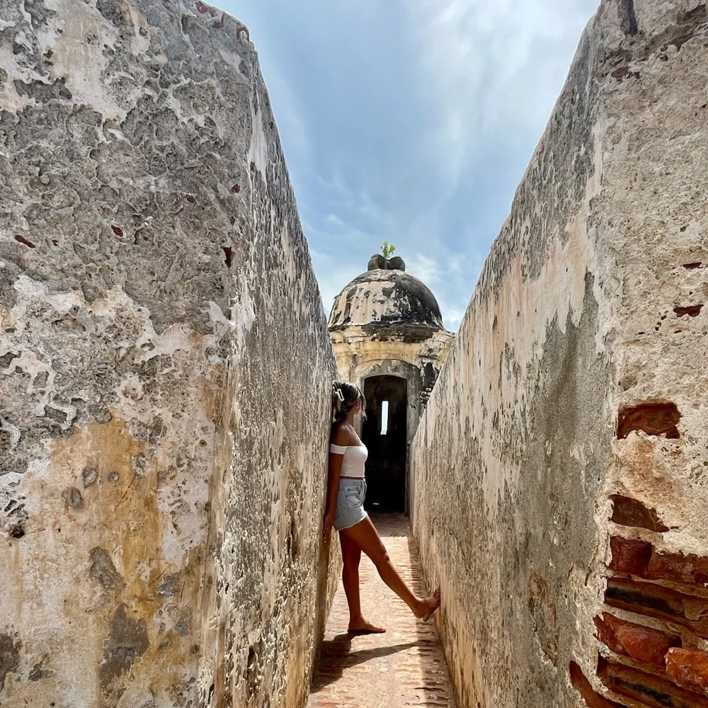 ✿ ♡ ✿ ♡ ✿ - Picture 5 of 7